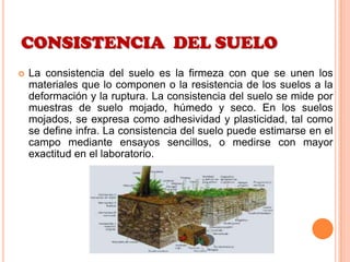 CONSISTENCIA DEL SUELO
 La consistencia del suelo es la firmeza con que se unen los
materiales que lo componen o la resistencia de los suelos a la
deformación y la ruptura. La consistencia del suelo se mide por
muestras de suelo mojado, húmedo y seco. En los suelos
mojados, se expresa como adhesividad y plasticidad, tal como
se define infra. La consistencia del suelo puede estimarse en el
campo mediante ensayos sencillos, o medirse con mayor
exactitud en el laboratorio.
 
