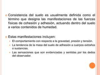  Consistencia del suelo es usualmente definida como el
término que designa las manifestaciones de las fuerzas
físicas de cohesión y adhesión, actuando dentro del suelo
a varios contenidos de humedad.
 Estas manifestaciones incluyen:
 El comportamiento con respecto a la gravedad, presión y tensión.
 La tendencia de la masa del suelo de adhesión a cuerpos extraños
o sustancias.
 Las sensaciones que son evidenciadas y sentidas por los dedos
del observador.
 