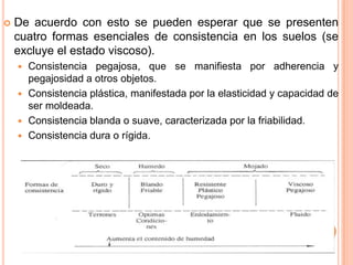  De acuerdo con esto se pueden esperar que se presenten
cuatro formas esenciales de consistencia en los suelos (se
excluye el estado viscoso).
 Consistencia pegajosa, que se manifiesta por adherencia y
pegajosidad a otros objetos.
 Consistencia plástica, manifestada por la elasticidad y capacidad de
ser moldeada.
 Consistencia blanda o suave, caracterizada por la friabilidad.
 Consistencia dura o rígida.
 