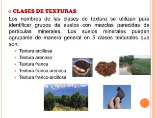  CLASES DE TEXTURAS:
Los nombres de las clases de textura se utilizan para
identificar grupos de suelos con mezclas parecidas de
partículas minerales. Los suelos minerales pueden
agruparse de manera general en 5 clases texturales que
son:
 Textura arcillosa
 Textura arenosa
 Textura franca
 Textura franco-arenosa
 Textura franco-arcillosa
 