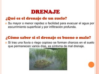 DRENAJE
¿Qué es el drenaje de un suelo?
 Su mayor o menor rapidez o facilidad para evacuar el agua por
escurrimiento superficial y por infiltración profunda.
¿Cómo saber si el drenaje es bueno o malo?
 Si tras una lluvia o riego copioso se forman charcos en el suelo
que permanecen varios días, es síntoma de mal drenaje.
 