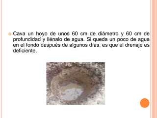  Cava un hoyo de unos 60 cm de diámetro y 60 cm de
profundidad y llénalo de agua. Si queda un poco de agua
en el fondo después de algunos días, es que el drenaje es
deficiente.
 