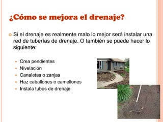 ¿Cómo se mejora el drenaje?
 Si el drenaje es realmente malo lo mejor será instalar una
red de tuberías de drenaje. O también se puede hacer lo
siguiente:
 Crea pendientes
 Nivelación
 Canaletas o zanjas
 Haz caballones o camellones
 Instala tubos de drenaje
 