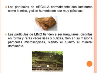  Las partículas de ARCILLA normalmente son laminares
como la mica, y si se humedecen son muy plásticas.
 Las partículas de LIMO tienden a ser irregulares, distintas
en forma y raras veces lisas o pulidas. Son en su mayoría
partículas microscópicas, siendo el cuarzo el mineral
dominante.
 