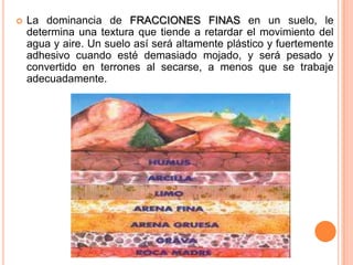  La dominancia de FRACCIONES FINAS en un suelo, le
determina una textura que tiende a retardar el movimiento del
agua y aire. Un suelo así será altamente plástico y fuertemente
adhesivo cuando esté demasiado mojado, y será pesado y
convertido en terrones al secarse, a menos que se trabaje
adecuadamente.
 