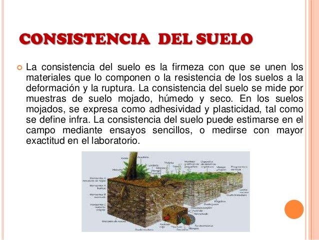 Propiedades física de los suelos