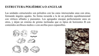 PROPIEDADES FISICAS DE SUELO [Autoguardado].pptx