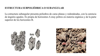 PROPIEDADES FISICAS DE SUELO [Autoguardado].pptx