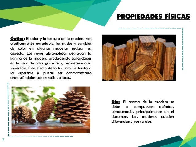 Propiedades fisicas y mecanicas de la madera