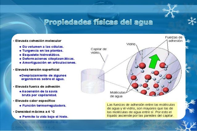Propiedades Del Agua