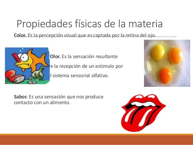 Propiedades físicas de la materia