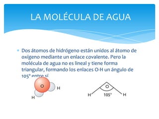 Dos átomos de hidrógeno están unidos al átomo de oxígeno mediante un enlace covalente. Pero la molécula de agua no es line...