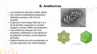 C. Poliomavirus
• (virus de polioma) son virus pequeños (45
nm), sin cubierta, termoestables,
resistentes a solubilización...