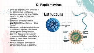 E. Adenovirus
• adenovirus (del latín adenos, glándula) son
virus sin cubierta, de tamaño mediano (70 a
90 nm) que present...