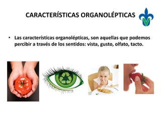 Propiedades organolépticas | PPTX