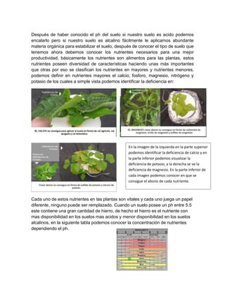 Después de haber conocido el ph del suelo si nuestro suelo es acido podemos 
encalarlo pero si nuestro suelo es alcalino fácilmente le aplicamos abundante 
materia orgánica para estabilizar el suelo, después de conocer el tipo de suelo que 
tenemos ahora debemos conocer los nutrientes necesarios para una mejor 
productividad, básicamente los nutrientes son alimentos para las plantas, estos 
nutrientes poseen diversidad de características haciendo unas más importantes 
que otras por eso se clasifican los nutrientes en mayores y nutrientes menores, 
podemos definir en nutrientes mayores el calcio, fosforo, magnesio, nitrógeno y 
potasio de los cuales a simple vista podemos identificar la deficiencia en: 
En la imagen de la izquierda en la parte superior 
podemos identificar la deficiencia de calcio y en 
la parte inferior podemos visualizar la 
deficiencia de potasio, a la derecha se ve la 
deficiencia de magnesio. En la parte inferior de 
cada imagen podemos conocer en que se 
consigue el abono de cada nutriente. 
Cada uno de estos nutrientes en las plantas son vitales y cada uno juega un papel 
diferente, ninguno puede ser remplazado. Cuando un suelo posee un ph entre 5.5 
este contiene una gran cantidad de hierro, de hecho el hierro es el nutriente con 
mas disponibilidad en los suelos mas acidos y menor disponibilidad en los suelos 
alcalinos, en la siguiente tabla podemos conocer la concentración de nutrientes 
dependiendo el ph. 
 