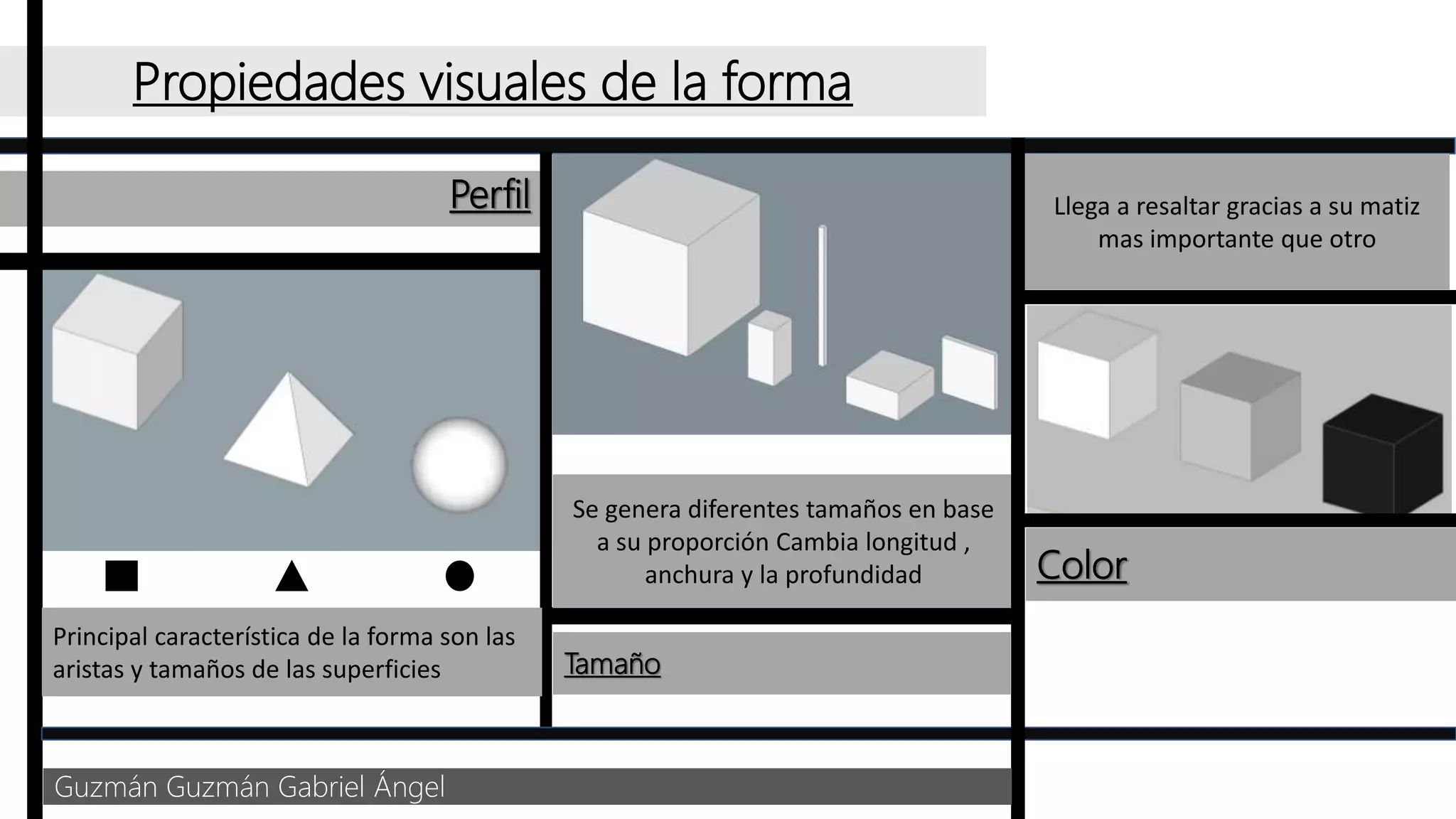 Propiedades visuales de la forma.pptx