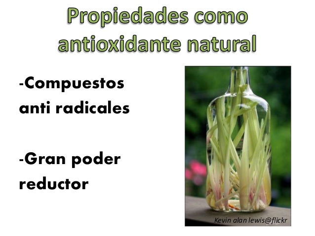 usos medicinales del zacate de limón