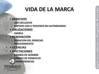 VIDA DE LA MARCA
• • DERECHOS
  – USO EXCLUSIVO
  – IMPEDIR USO A TERCEROS NO AUTORIZADOS
• • OBLIGACIONES
  – USARLA
• • RENOVACION
  – DURACION DEL DERECHO
  – PROCEDIMIENTO
• • LICENCIAS
• • AFECTACIONES
  – CAMBIO DE NOMBRE
  – CAMBIO DE DOMICILIO
  – TRANSFERENCIAS
 