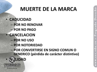 MUERTE DE LA MARCA
• CADUCIDAD
  – POR NO RENOVAR
  – POR NO PAGO
• CANCELACION
  – POR NO USO
  – POR NOTORIEDAD
  – POR CONVERTIRSE EN SIGNO COMUN O
    GENERICO (pérdida de carácter distintivo)
• NULIDAD
 