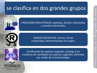 se clasifica en dos grandes grupos

      CREACIONES INDUSTRIALES: patentes, diseños industriales
                     y secretos industriales.



                SIGNOS DISTINTIVOS: marcas, lemas
              comerciales, denominaciones de origen.


          Certificación de especies vegetales: protege a los
      creadores de variedades de especies vegetales obtenidas
                    por medio de la biotecnología.
 