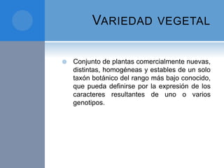 VARIEDAD VEGETAL
 Conjunto de plantas comercialmente nuevas,
distintas, homogéneas y estables de un solo
taxón botánico del rango más bajo conocido,
que pueda definirse por la expresión de los
caracteres resultantes de uno o varios
genotipos.
 