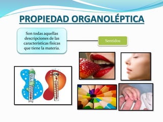 PROPIEDAD ORGANOLÉPTICA
Son todas aquellas
descripciones de las
características físicas
que tiene la materia.
Sentidos
 