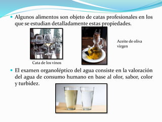  Algunos alimentos son objeto de catas profesionales en los
que se estudian detalladamente estas propiedades.
 El examen organoléptico del agua consiste en la valoración
del agua de consumo humano en base al olor, sabor, color
y turbidez.
Cata de los vinos
Aceite de oliva
virgen
 