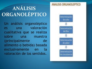 ANÁLISIS
ORGANOLÉPTICO
Un análisis organoléptico
es una valoración
cualitativa que se realiza
sobre una muestra
(principalmente de
alimento o bebida) basada
exclusivamente en la
valoración de los sentidos.
 