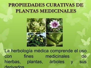 La herbología médica comprende el uso
con fines medicinales de
hierbas, plantas, árboles y sus
 