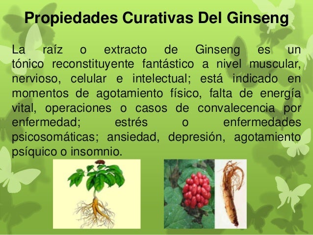 Como adelgazar que se puede comer y que es posible comer