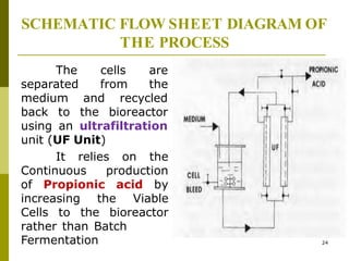 SCHEMATIC FLOW SHEET DIAGRAM OF
THE PROCESS
cells are
from the
and recycled
The
separated
medium
back to the bioreactor
using an ultrafiltration
unit (UF Unit)
It relies on the
Continuous production
of Propionic acid by
increasing the Viable
Cells to the bioreactor
rather than Batch
Fermentation 24
 