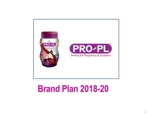 Brand Plan 2018-20
1
 