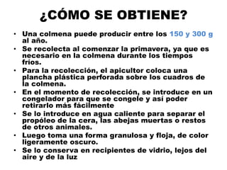 ¿CÓMO SE OBTIENE?
• Una colmena puede producir entre los 150 y 300 g
  al año.
• Se recolecta al comenzar la primavera, ya que es
  necesario en la colmena durante los tiempos
  fríos.
• Para la recolección, el apicultor coloca una
  plancha plástica perforada sobre los cuadros de
  la colmena.
• En el momento de recolección, se introduce en un
  congelador para que se congele y así poder
  retirarlo más fácilmente
• Se lo introduce en agua caliente para separar el
  propóleo de la cera, las abejas muertas o restos
  de otros animales.
• Luego toma una forma granulosa y floja, de color
  ligeramente oscuro.
• Se lo conserva en recipientes de vidrio, lejos del
  aire y de la luz
 