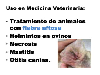 Uso en Medicina Veterinaria:

• Tratamiento de animales
  con fiebre aftosa
• Helmintos en ovinos
• Necrosis
• Mastitis
• Otitis canina.
 