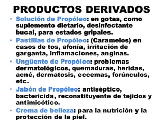 PRODUCTOS DERIVADOS
• Solución de Propóleo: en gotas, como
  suplemento dietario, desinfectante
  bucal, para estados gripales.
• Pastillas de Propóleo: (Caramelos) en
  casos de tos, afonía, irritación de
  garganta, inflamaciones, anginas.
• Ungüento de Propóleo: problemas
  dermatológicos, quemaduras, heridas,
  acné, dermatosis, eccemas, forúnculos,
  etc.
• Jabón de Propóleo: antiséptico,
  bactericida, reconstituyente de tejidos y
  antimicótico.
• Crema de belleza: para la nutrición y la
  protección de la piel.
 