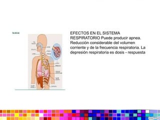 EFECTOS EN EL SISTEMA
RESPIRATORIO Puede producir apnea.
Reducción considerable del volumen
corriente y de la frecuencia respiratoria. La
depresión respiratoria es dosis - respuesta
 