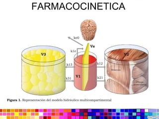 FARMACOCINETICA
 
