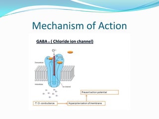 Mechanism of Action
 