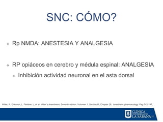 50
SNC: CÓMO?
Miller, R. Eriksson, L. Fleisher. L. et al. Miller´s Anesthesia. Seventh edition. Volumen 1. Section III. Chapter 26. Anesthetic pharmacology. Pag 742-747.
❖ Rp NMDA: ANESTESIA Y ANALGESIA
❖ RP opiáceos en cerebro y médula espinal: ANALGESIA
❖ Inhibición actividad neuronal en el asta dorsal
 