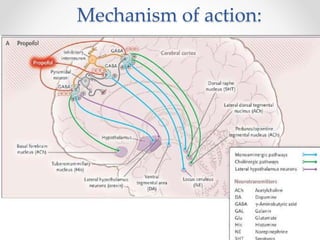 Mechanism of action:
 