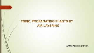 NAME :ABHISHEK TIRKEY
TOPIC: PROPAGATING PLANTS BY
AIR LAYERING
 