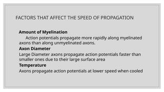 PROPOGATION OF ACTION POTENTIAL in physiotherapy .pptx