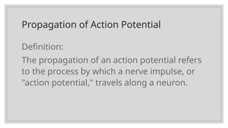 PROPOGATION OF ACTION POTENTIAL in physiotherapy .pptx