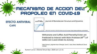 EFECTO ANTIVIRAL
CAPE
Kumar V, et al. J Biomol Struct Dyn. 2020 Jun 1;1-13.
 