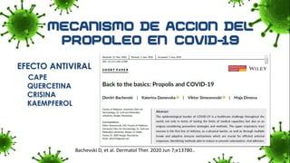 Bachevski D, et al. Dermatol Ther. 2020 Jun 7;e13780..
EFECTO ANTIVIRAL
CAPE
QUERCETINA
CRISINA
KAEMPFEROL
 