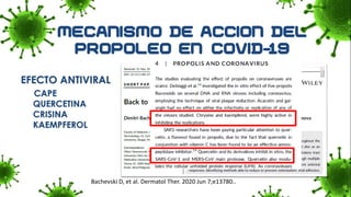 Bachevski D, et al. Dermatol Ther. 2020 Jun 7;e13780..
EFECTO ANTIVIRAL
CAPE
QUERCETINA
CRISINA
KAEMPFEROL
 