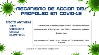 EFECTO ANTIVIRAL
CAPE
QUERCETINA
CRISINA
KAEMPFEROL
Guler H, et al. ScienceOpen. 22 April 2020
 