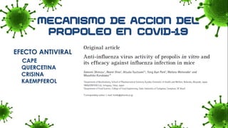EFECTO ANTIVIRAL
CAPE
QUERCETINA
CRISINA
KAEMPFEROL
 