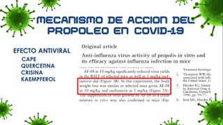 EFECTO ANTIVIRAL
CAPE
QUERCETINA
CRISINA
KAEMPFEROL
 